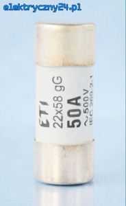 Wkładka cylindryczna CH 22x58 gG 100 A